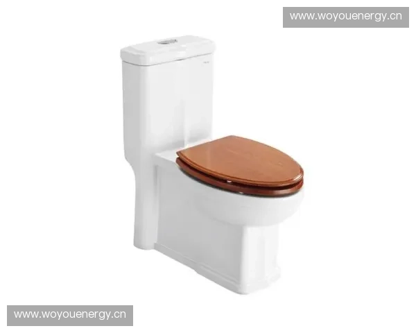 东鹏洁具卫浴引领品质生活打造舒适智能家居新体验