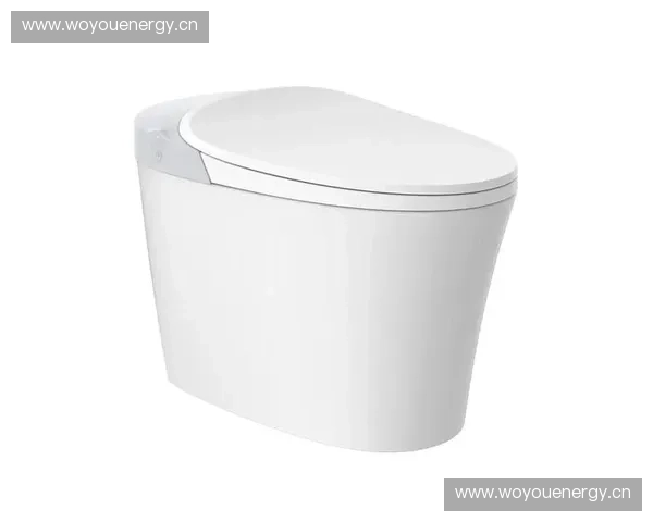 2025年智能马桶十大品牌推荐让你享受科技与舒适的完美结合 2025年智能马桶十大品牌推荐让你享受科技与舒适的完美结合