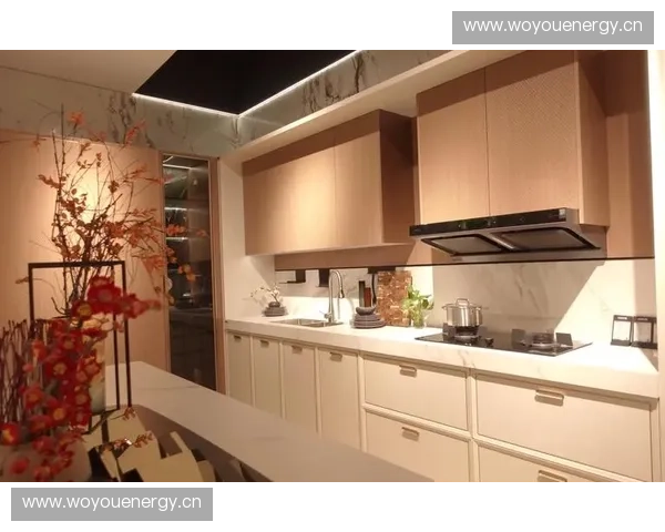 定制橱柜选购时的五大关键注意事项及实用建议